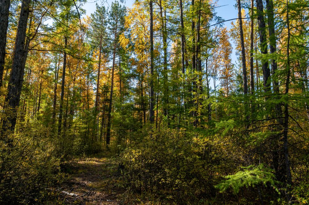 Photograph by Алексей Гончаров