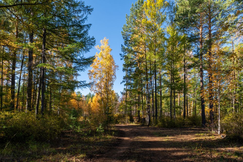 Photograph by Алексей Гончаров