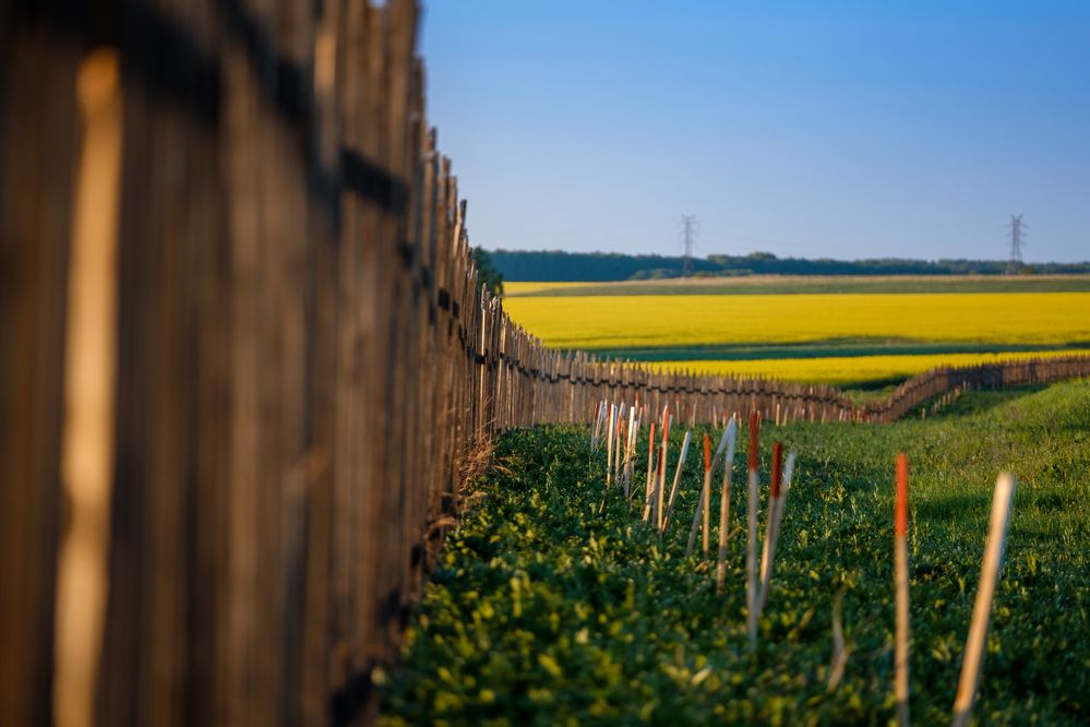 Photograph by Виктор Гагарин