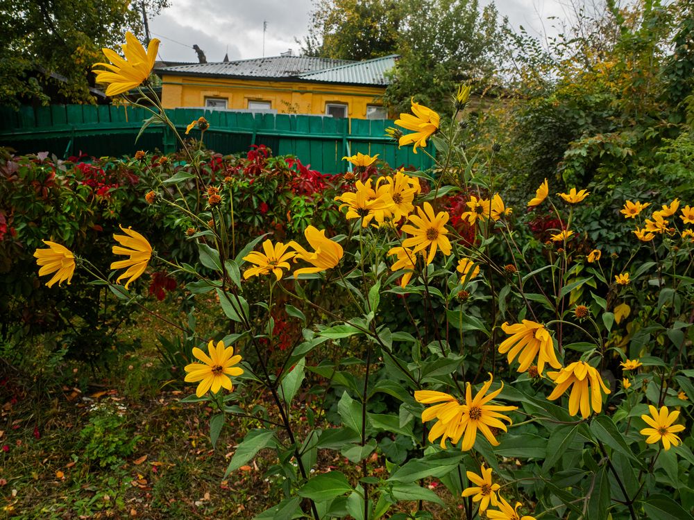 Photograph by Наталья Коньшина