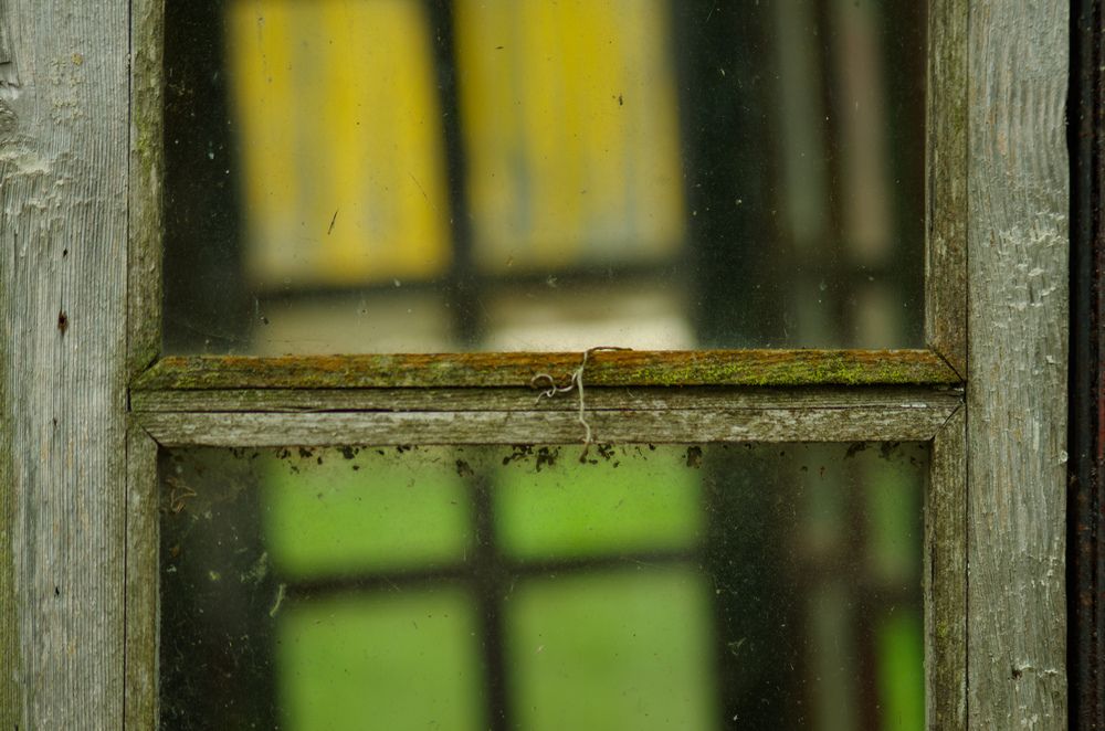 Photograph by Василий Богомолов