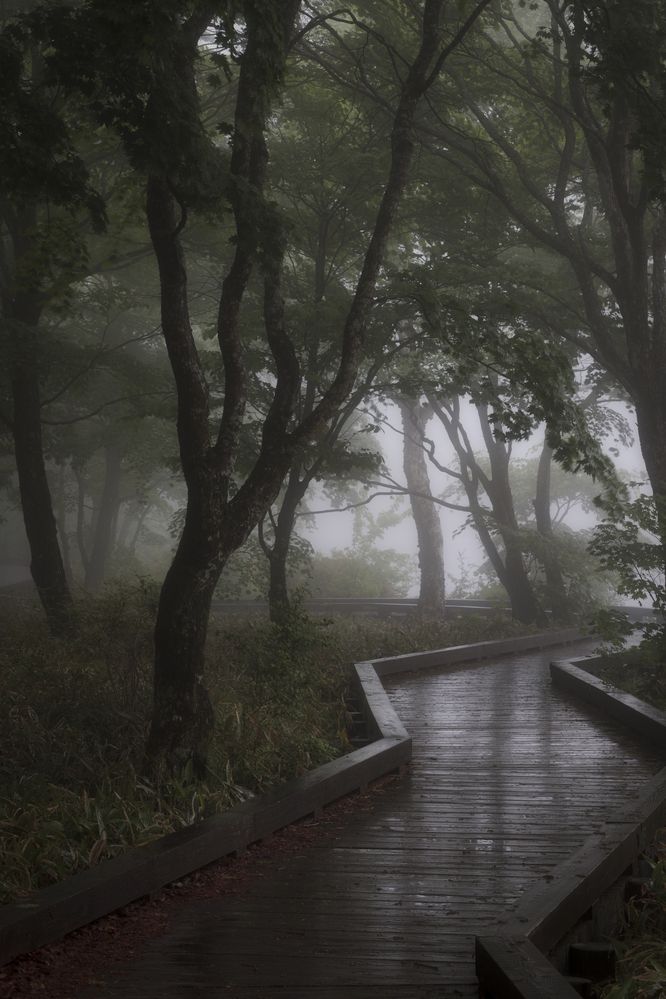 Photograph by K_ Tsunoda