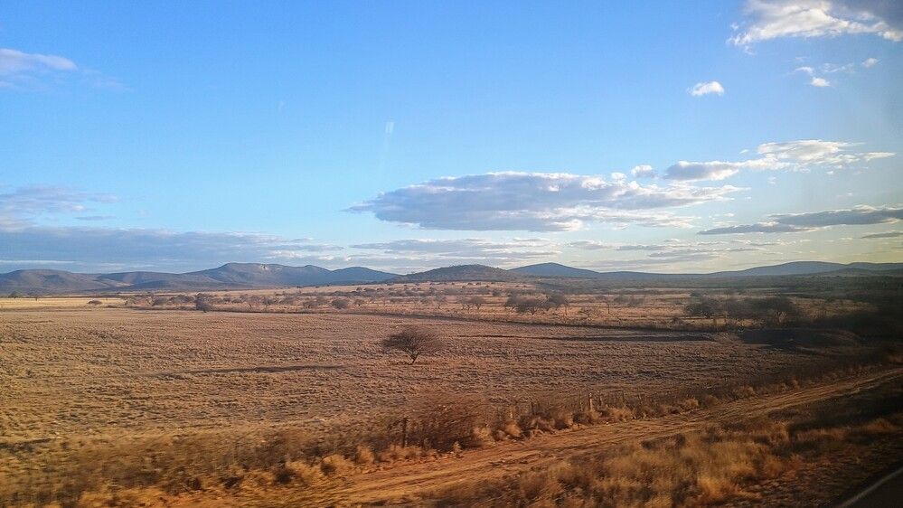 Photo #12617702
