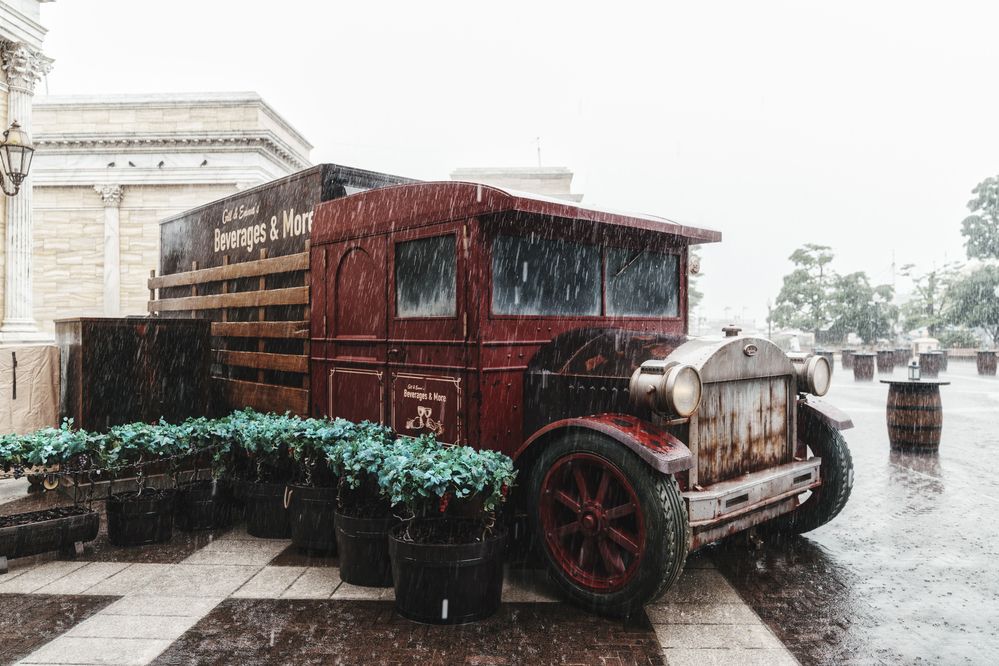 Photograph by K_ Tsunoda