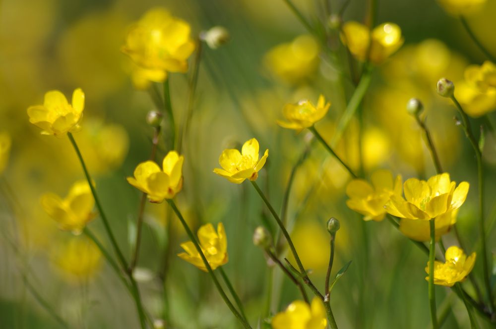 Photograph by Василий Богомолов