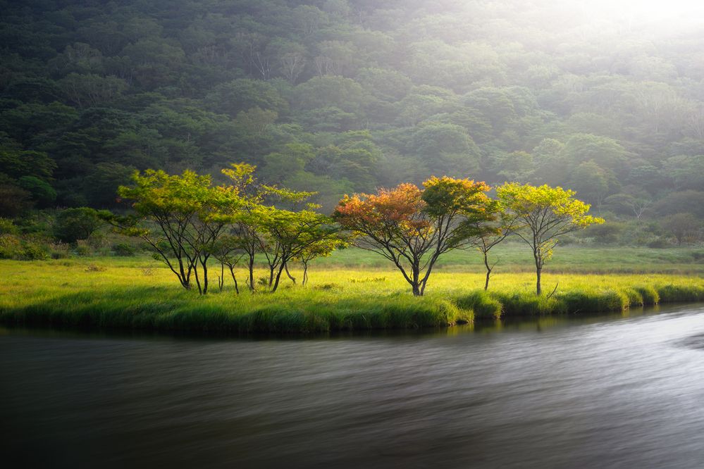 Photograph by K_ Tsunoda