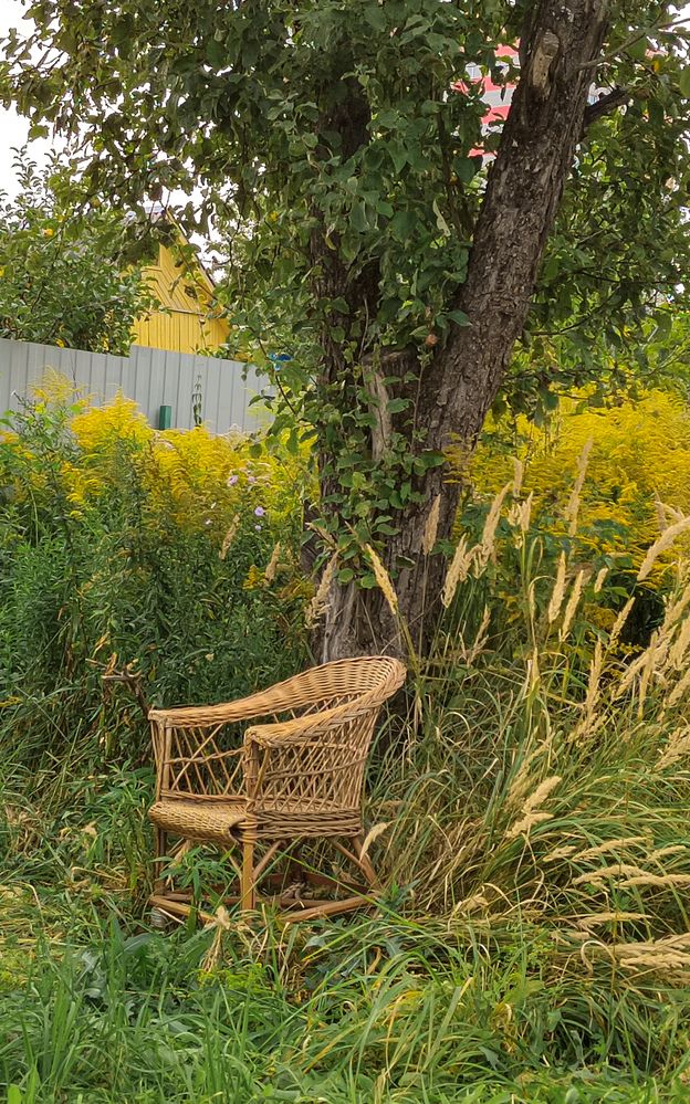 Photograph by Наталья Горовых