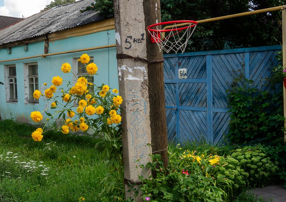 Photograph by Наталья Коньшина