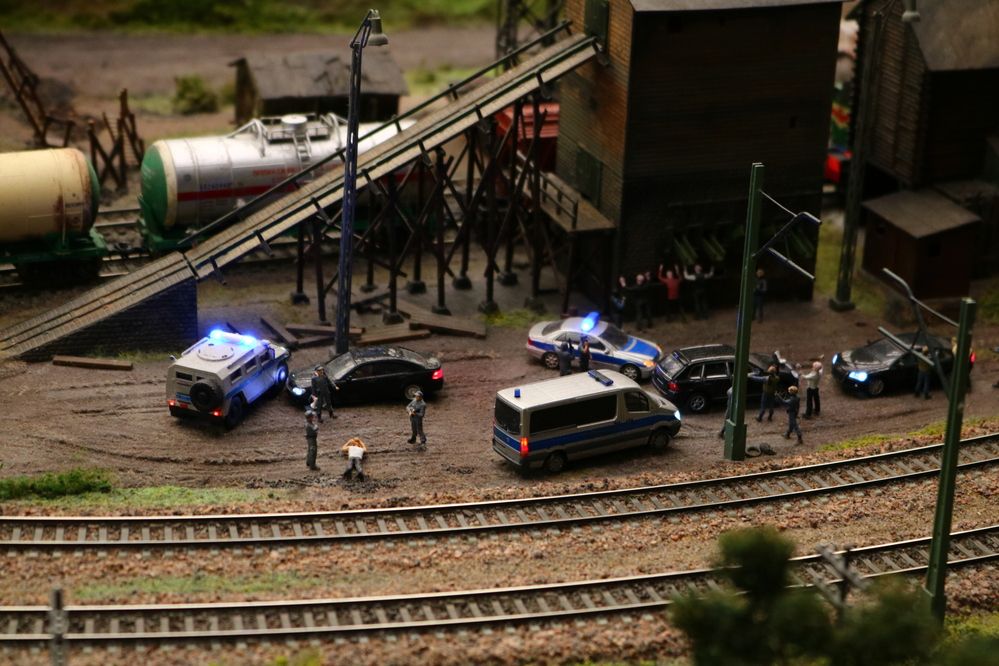 Photograph by Светлана Шуткова