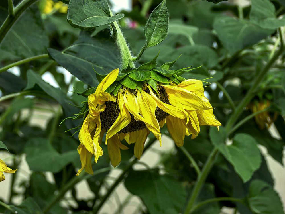 Photograph by Владимир