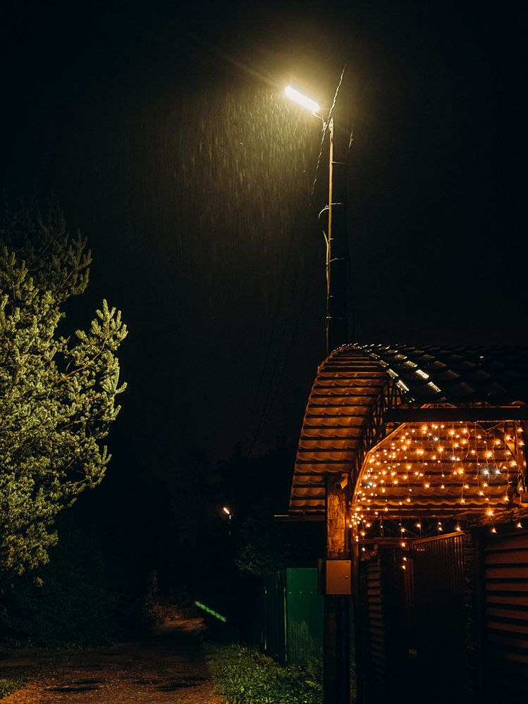 Photograph by Елена Михалева