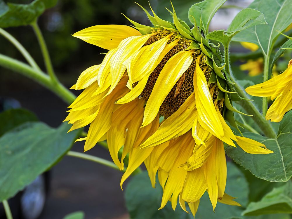 Photograph by Владимир