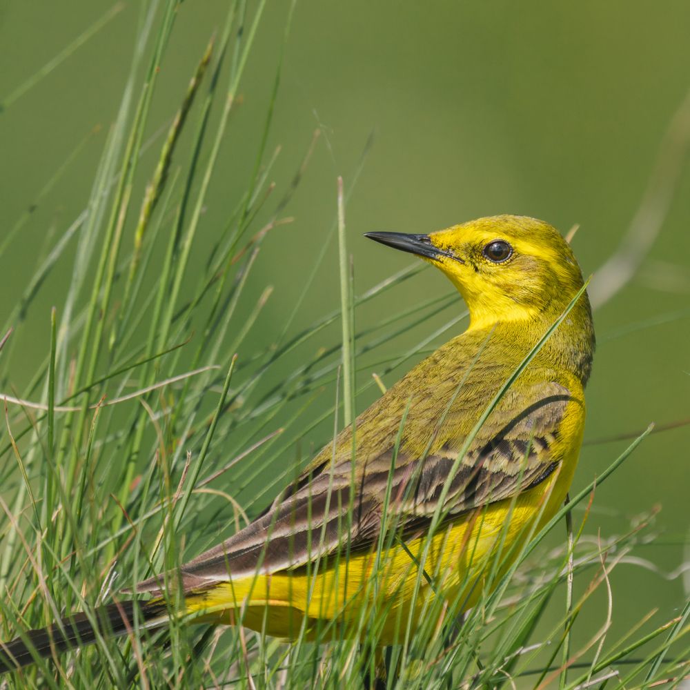 Фотография автора Владислав Белоус