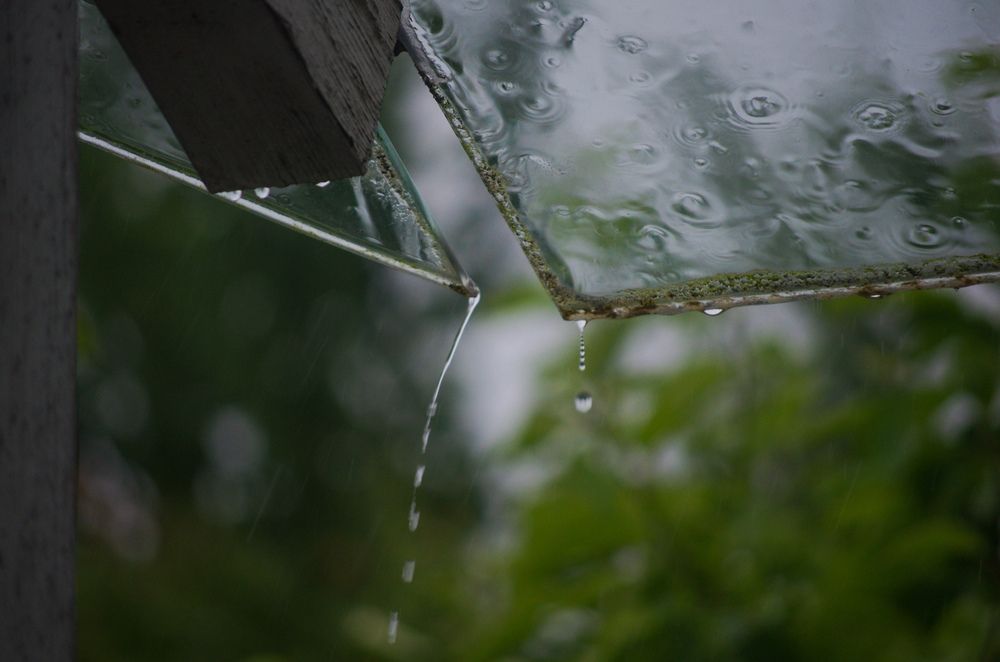 Photograph by Василий Богомолов