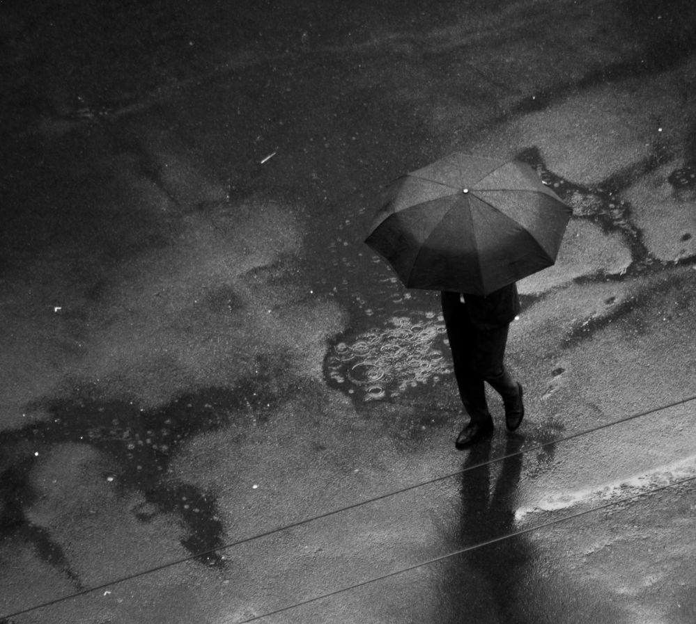 Photograph by Василий Богомолов