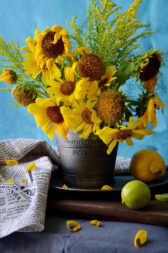 Photograph by OLGA LIZ