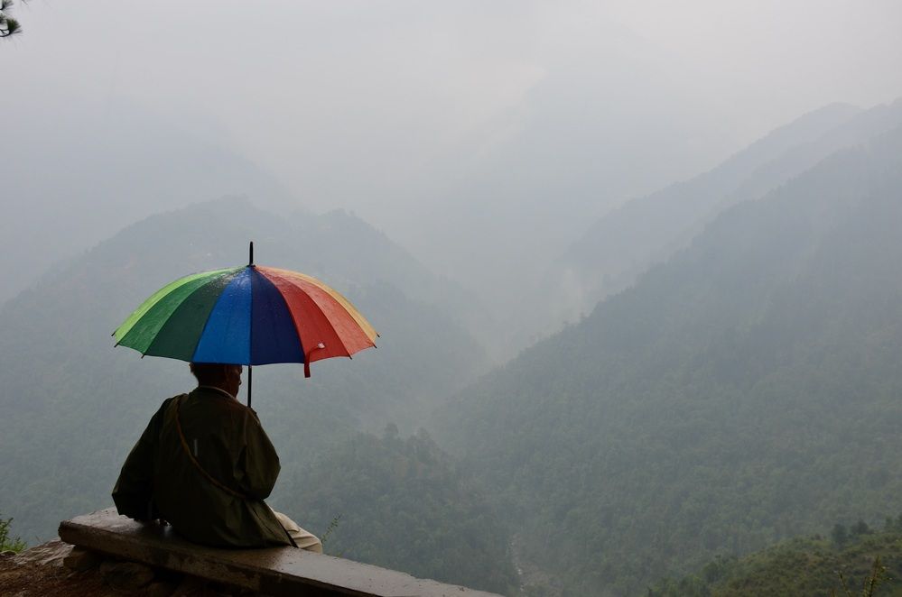 Немного красок в сером дне