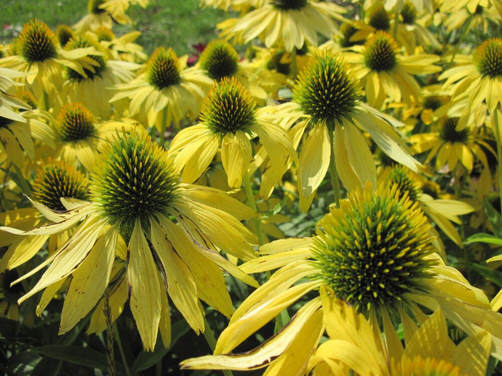 Фотография автора Георгий Самусевич