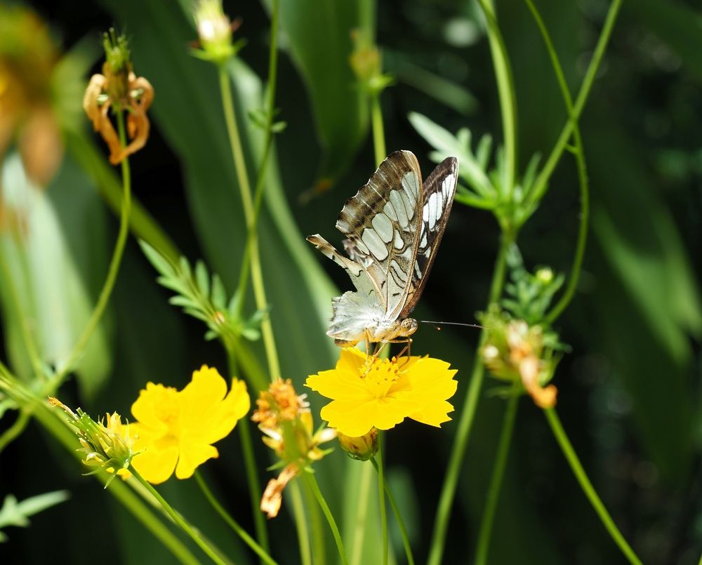 Photograph by Андрей Анатольевич