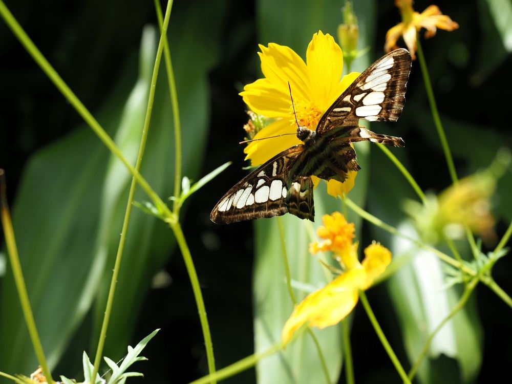 Photograph by Андрей Анатольевич