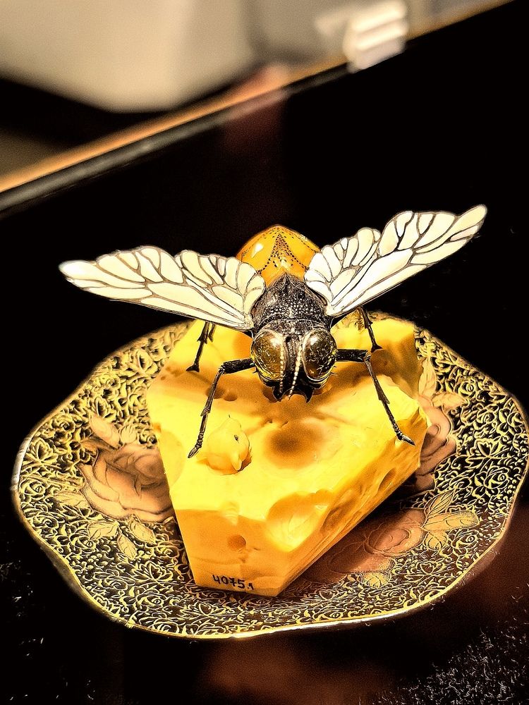 Фотография автора Александр Сипаров