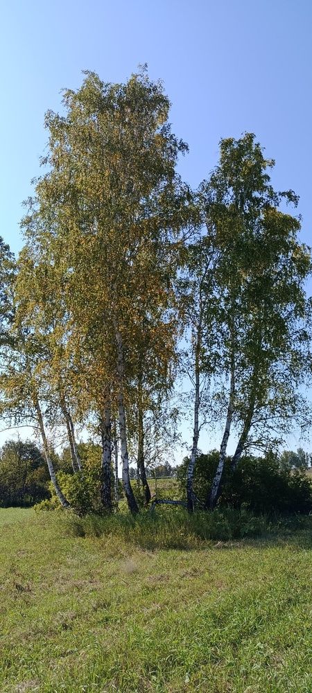 Photograph by Наталья Петухова