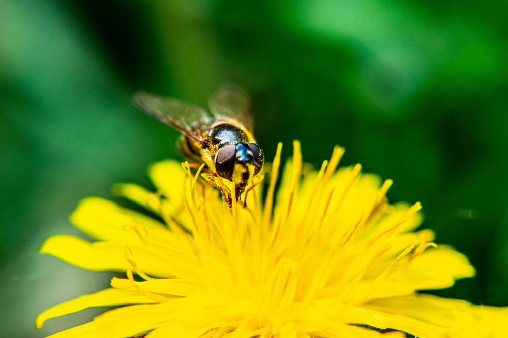 Photograph by Дмитрий Анисимов