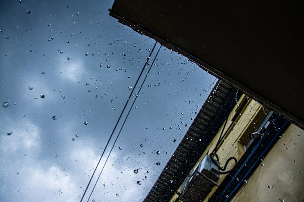 Photograph by Дмитрий Анисимов