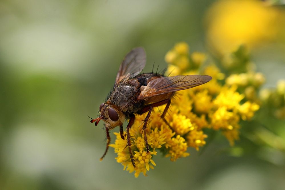 Photograph by Александр Лобанов