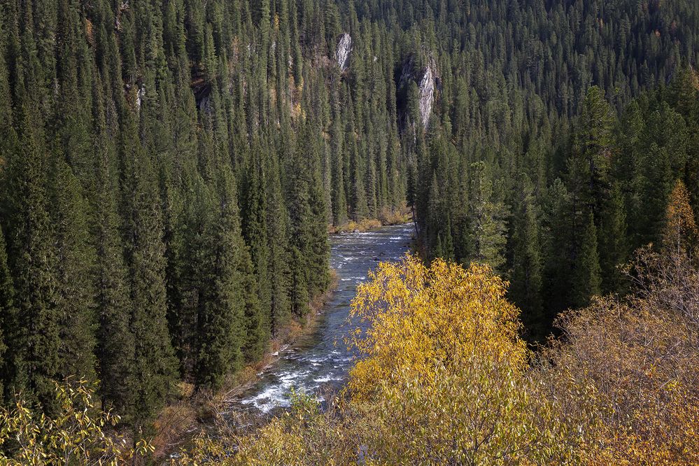 Photograph by Олег Тетерин