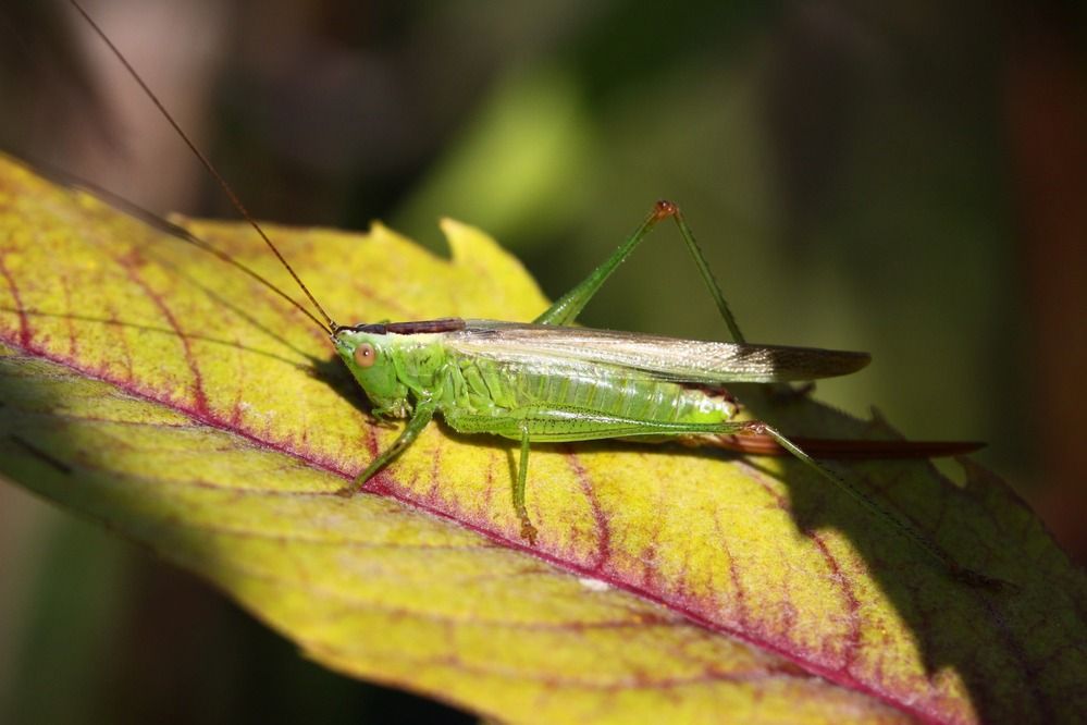 Photograph by Александр Лобанов