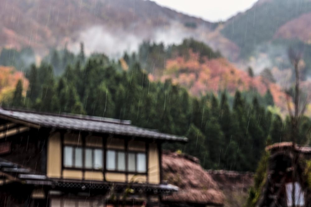 Photograph by Александр Журавлев