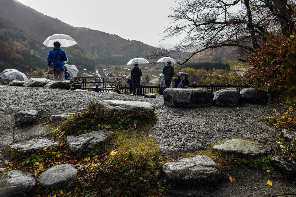 Photograph by Александр Журавлев