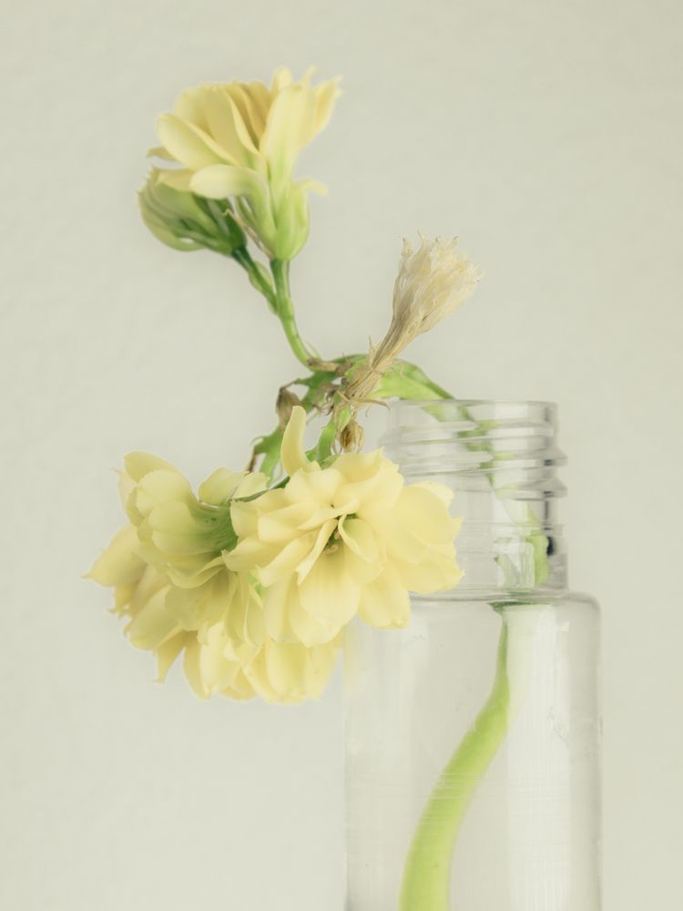 Photograph by Anna Amarova