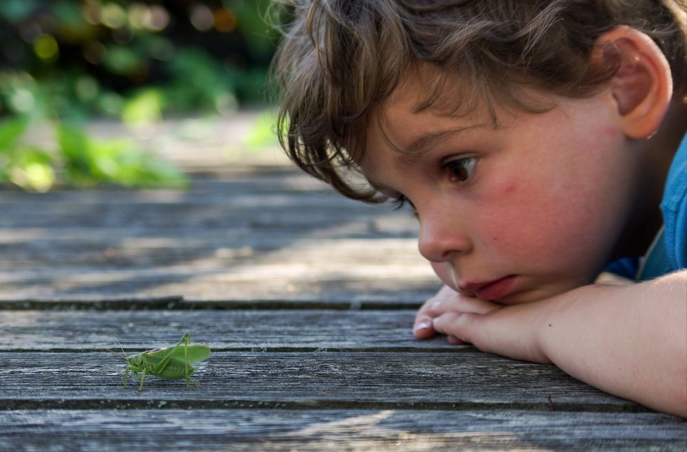 Photograph by Василий Богомолов