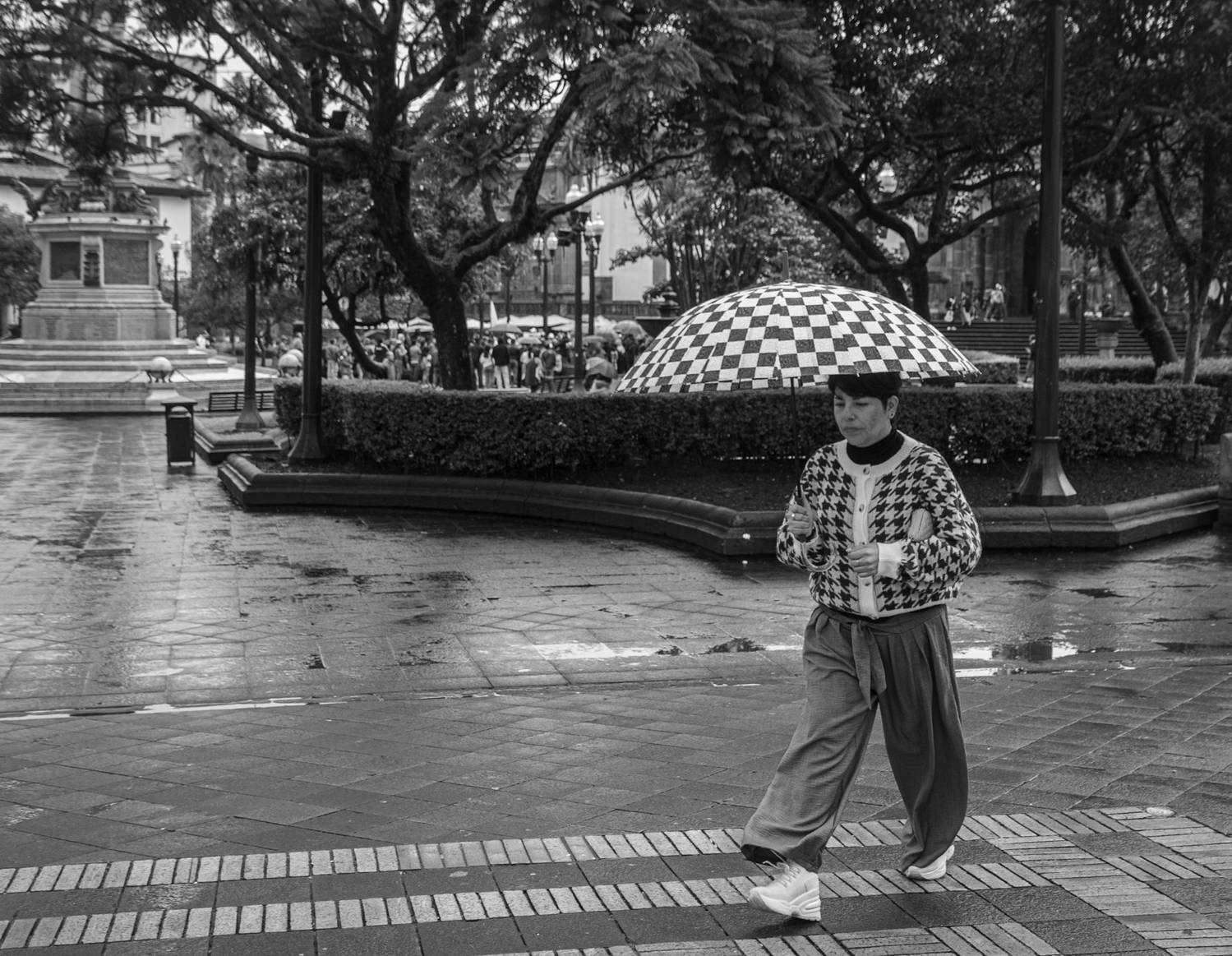 Patterned Umbrella