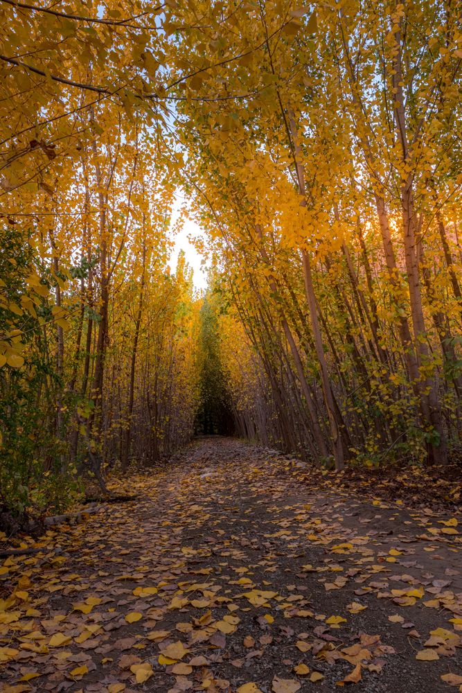 Photograph by ZANYAR RASOOL Awla