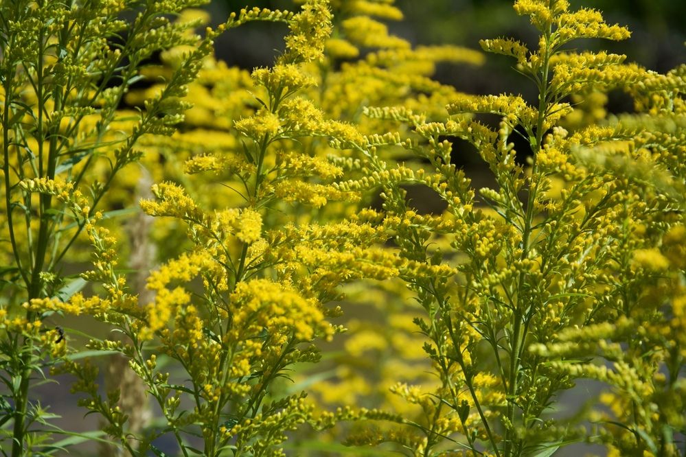 Photograph by OLGA LIZ