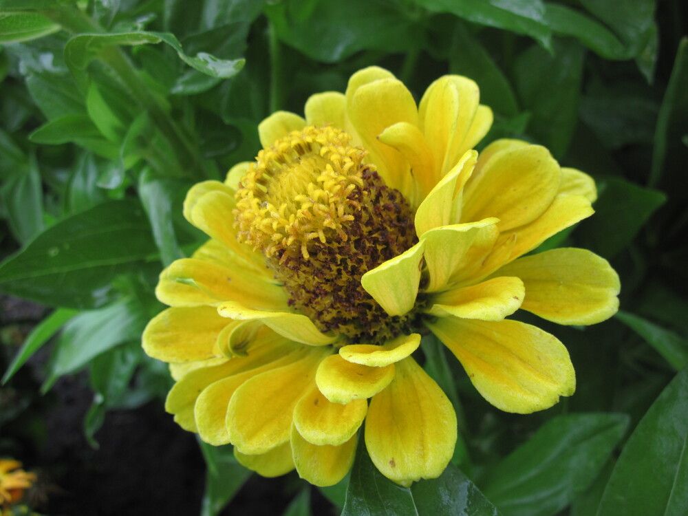 Фотография автора Георгий Самусевич