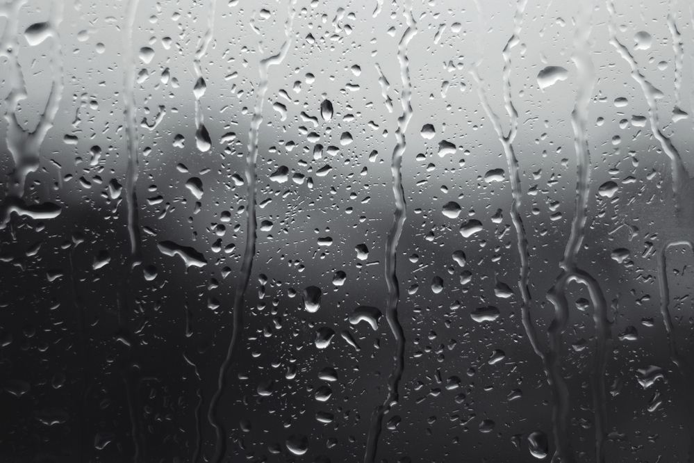 Photograph by Magic Helios