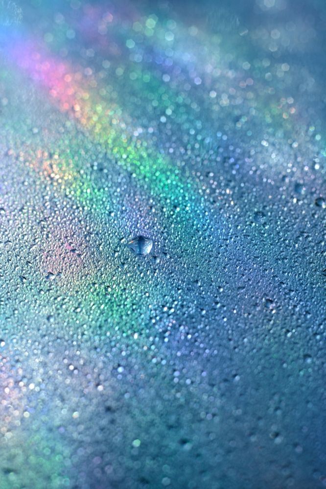 Photograph by Magic Helios