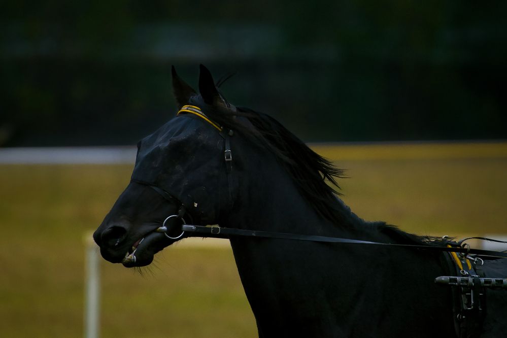 Photograph by Александр Перегудов