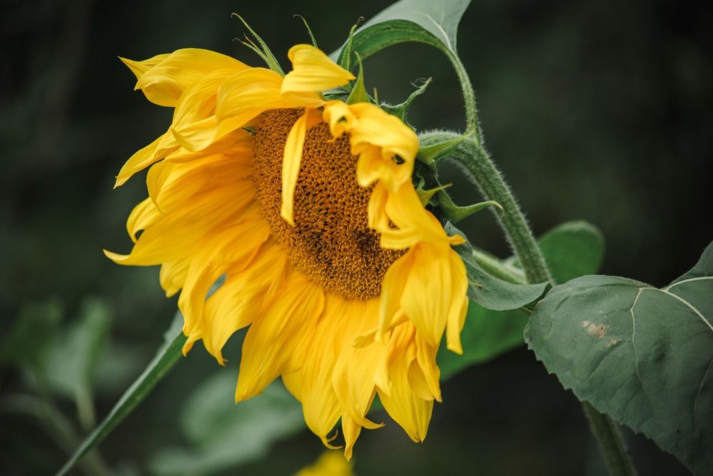 Photograph by Татьяна Жиркина