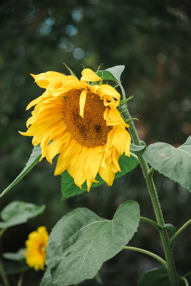 Photograph by Татьяна Жиркина