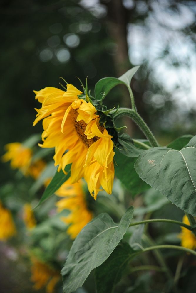 Photograph by Татьяна Жиркина