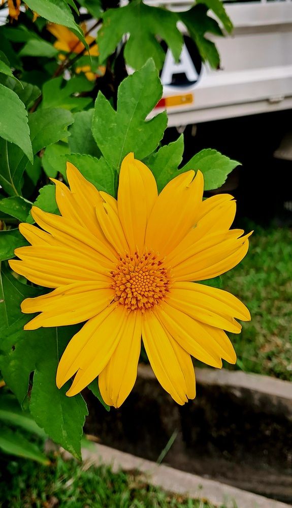 Photograph by FELOMINA ENDEREZ