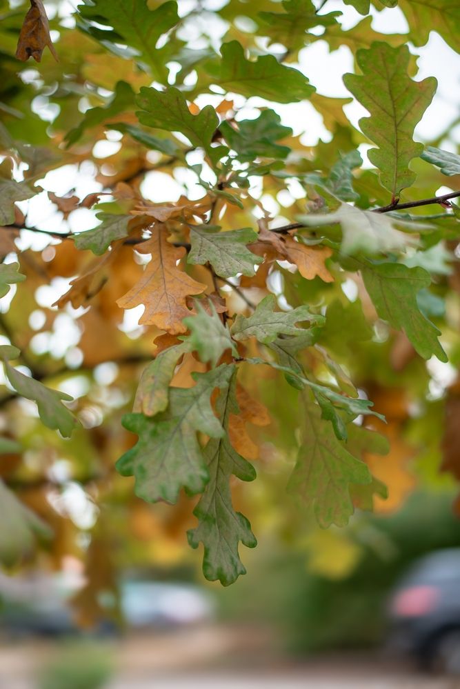 Photograph by Татьяна Жиркина