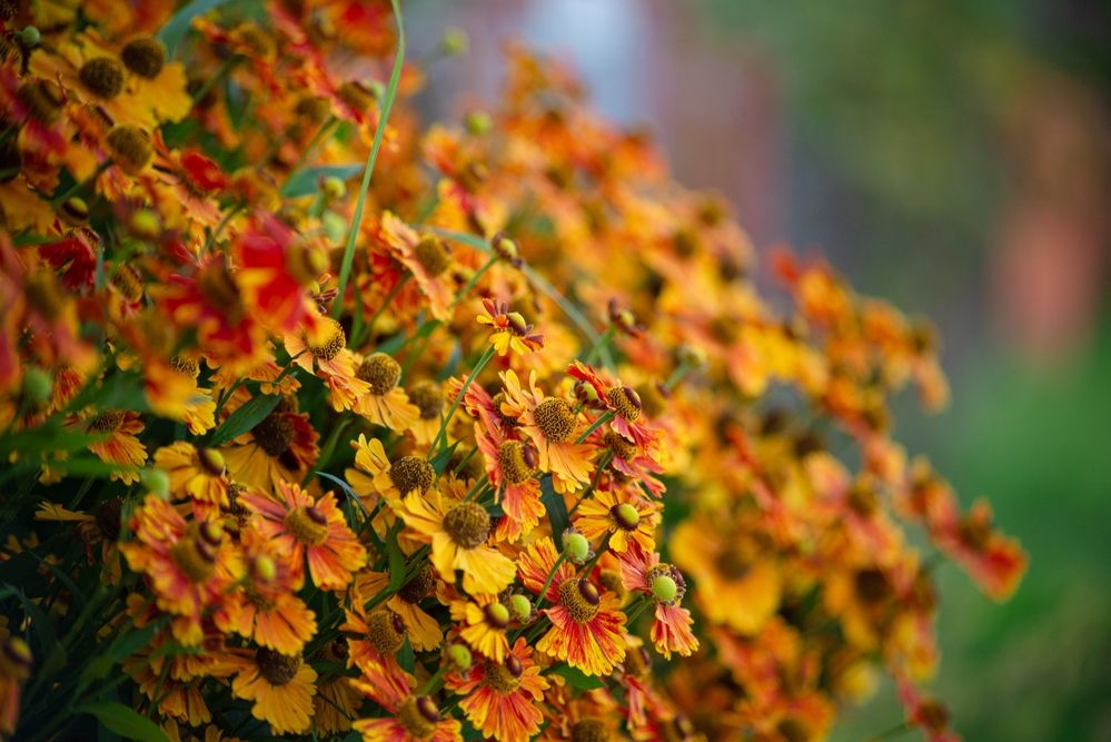 Photograph by Татьяна Жиркина