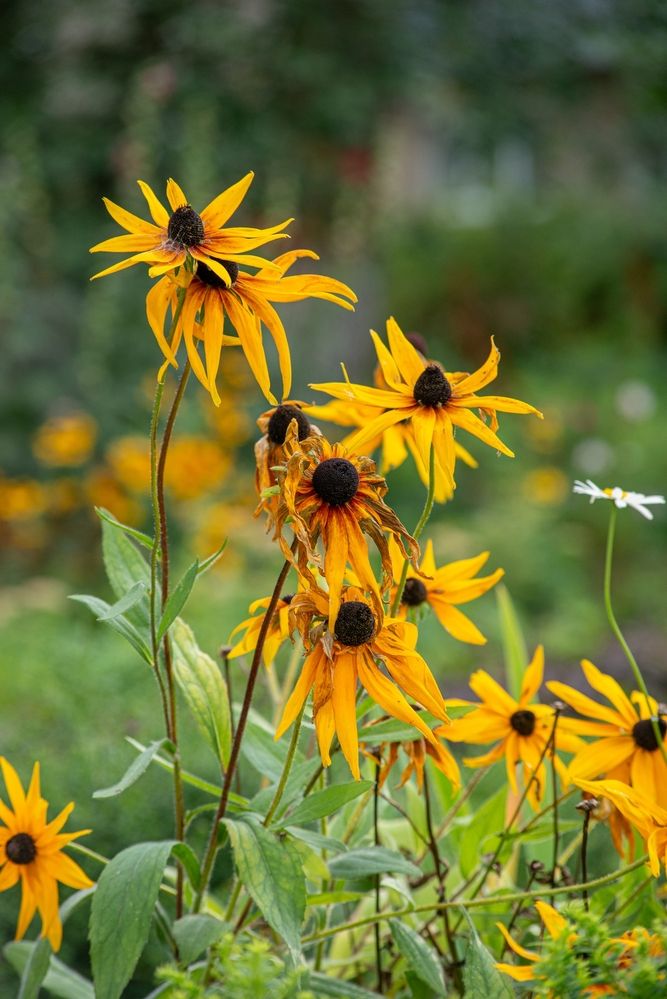 Photograph by Татьяна Жиркина