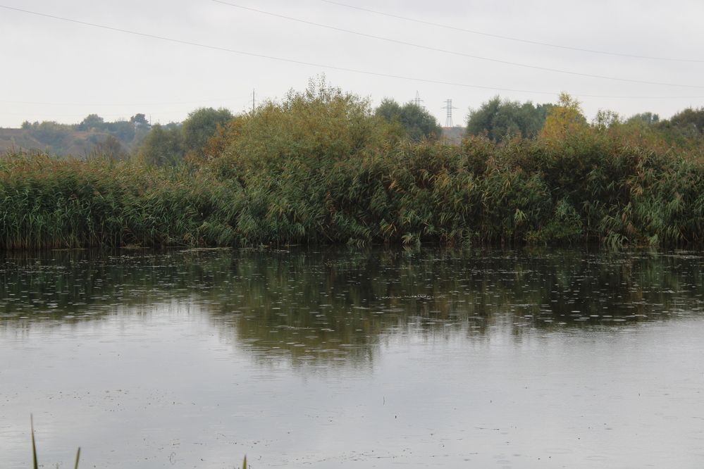 Photograph by Елена Коробченко